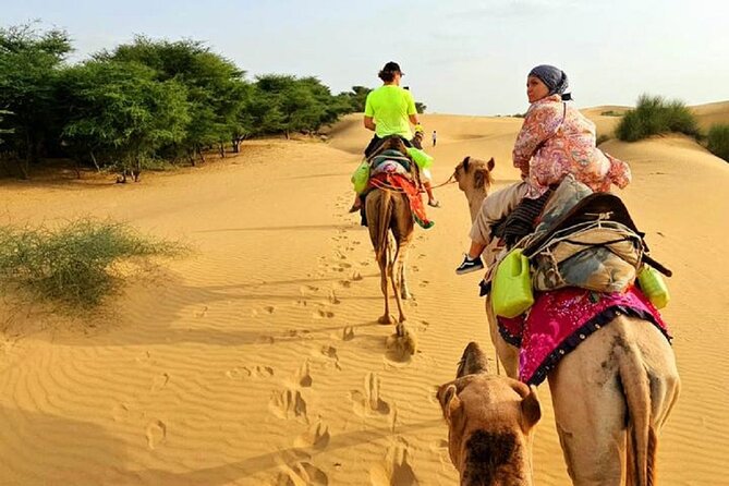 kolu camel safari group -2