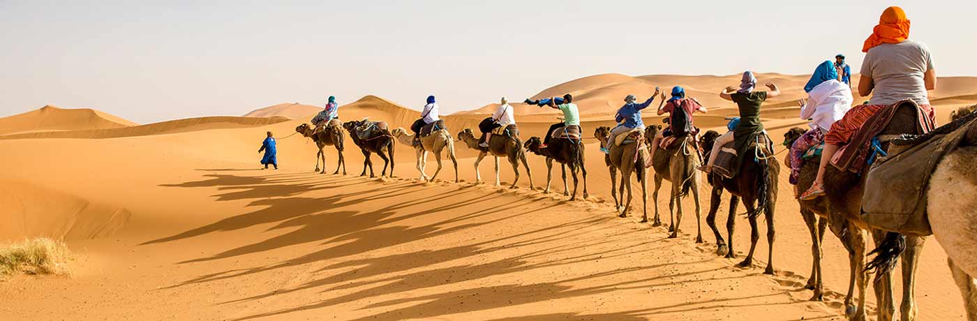 kolu camel safari group ride review
