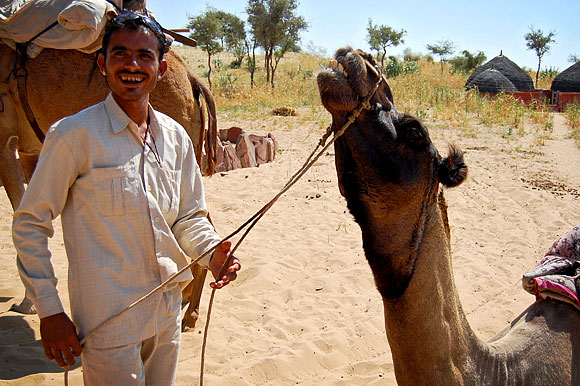 kolu camel safari 5